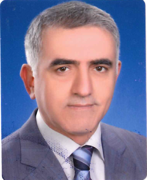 Gökhan BERBER